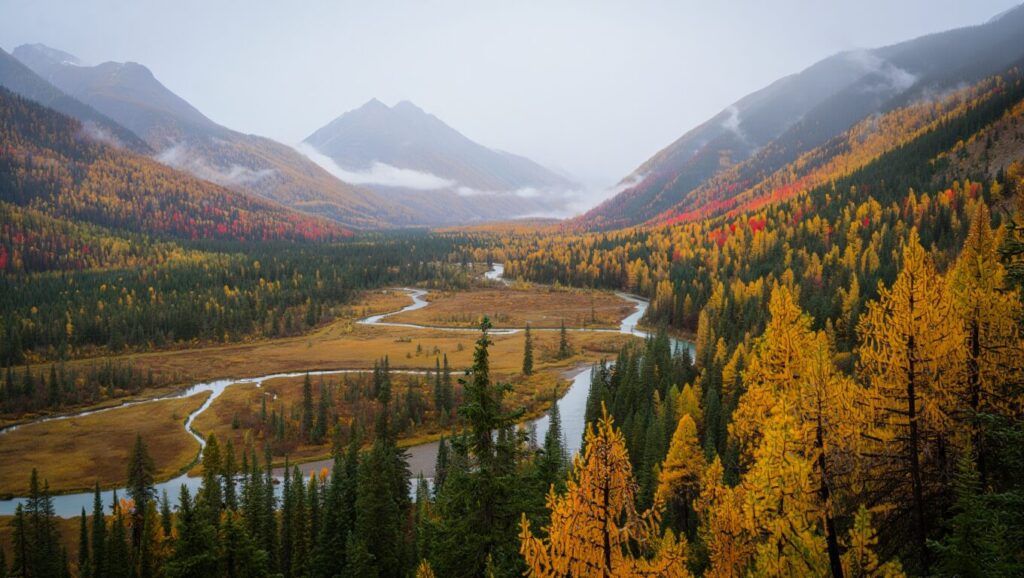 Vallée de la Slocan, Canada